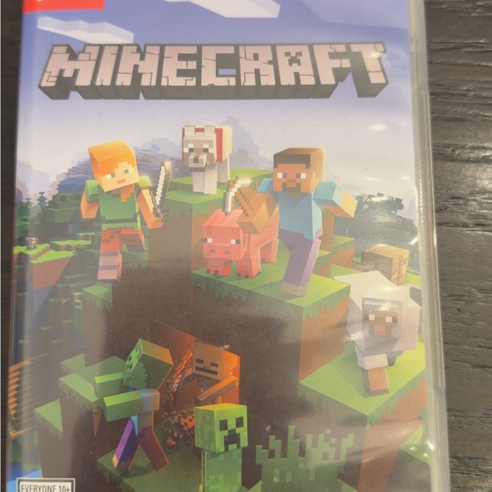 Nintendo Switch Minecraft Video Game for Consoles